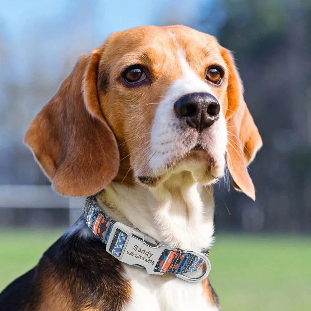 Engraved Puppy Collars - Devya's Pet Emporium