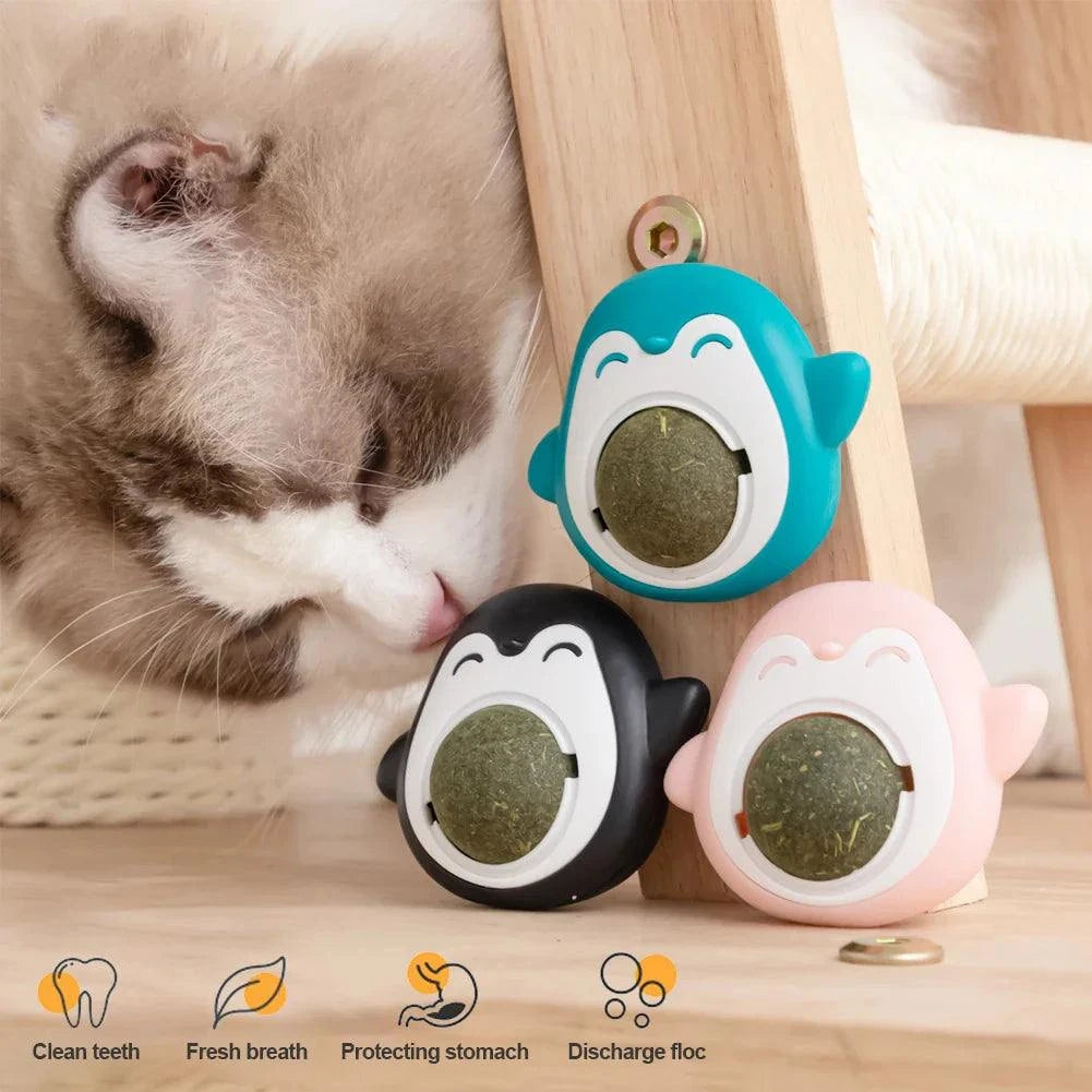 Natural Catnip Grinding Teeth Mint Ball - Devya's Pet Emporium