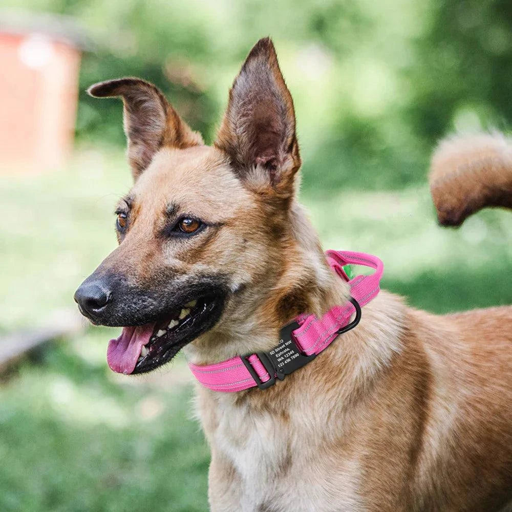 Military Tactical Pet Collar ID - Devya's Pet Emporium