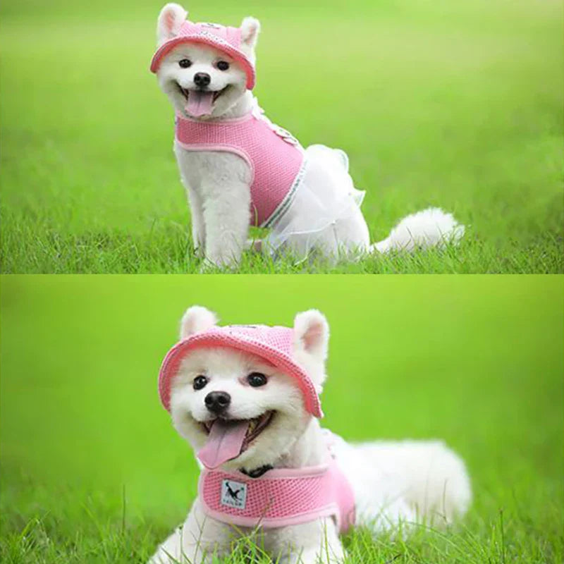Breathable Summer Sunhat For Pet - Devya's Pet Emporium