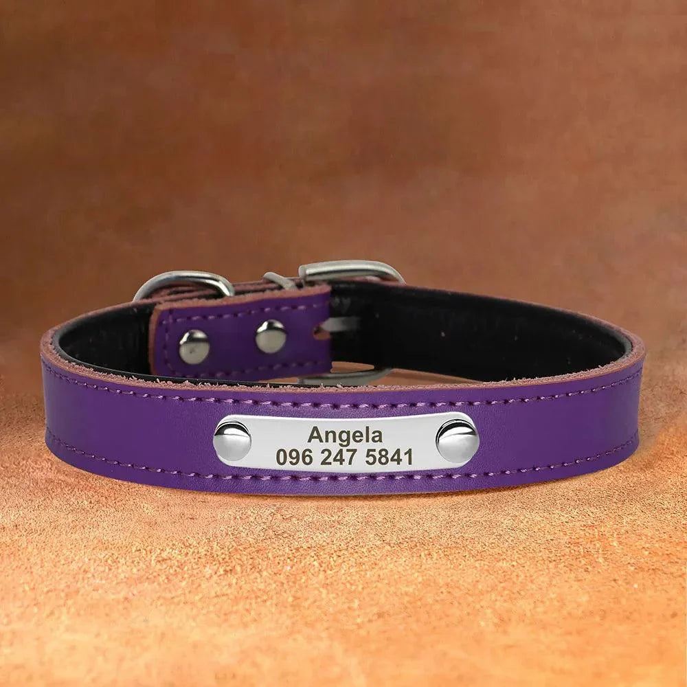 Personalised Leather Pet Collar ID 